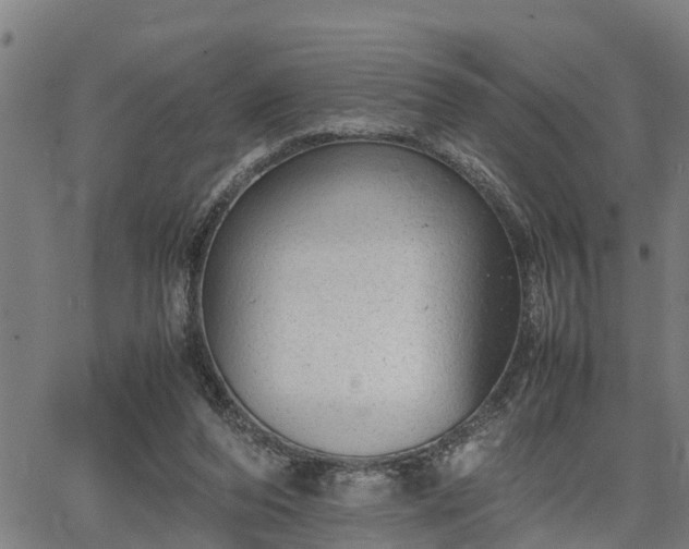 X0000064750208200602131235