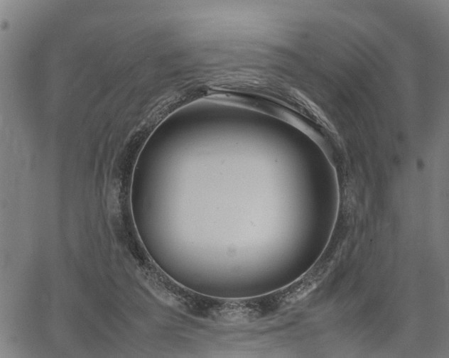 X0000064750209200602131235