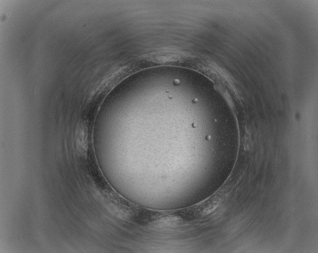 X0000064750210200602131235