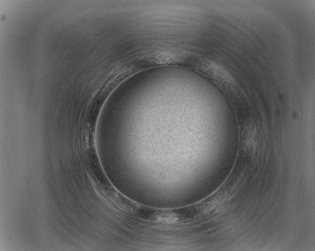 X0000064750214200602131235