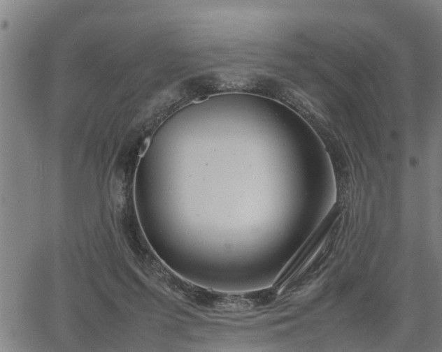 X0000064750215200602131235