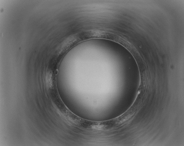 X0000064750216200602131235