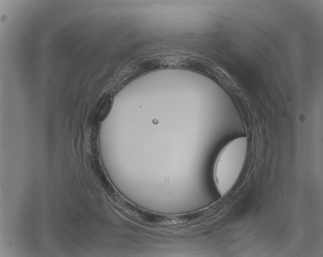 X0000064750217200602131234