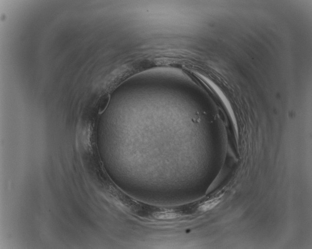 X0000064750219200602131234