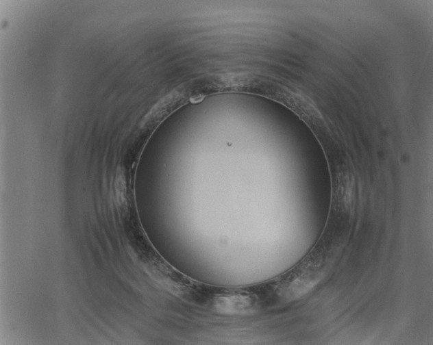 X0000064750220200602131234