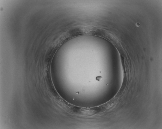 X0000064750221200602131234