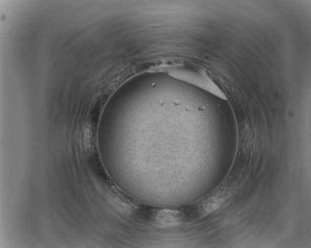 X0000064750222200602131234