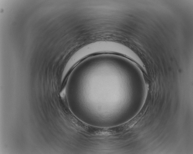 X0000064750224200602131234