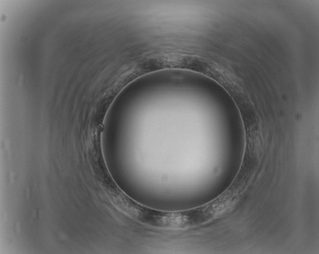 X0000064750225200602131234