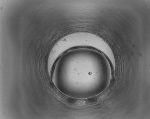 X0000064750227200602131234