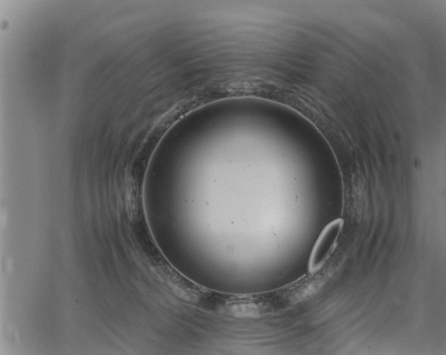 X0000064750228200602131234