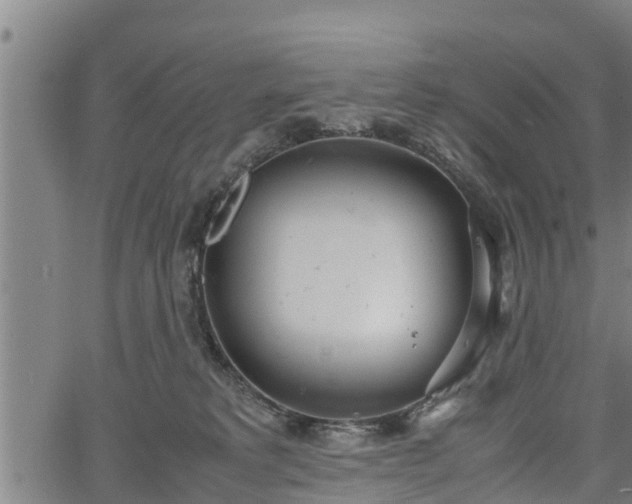 X0000064750229200602131234