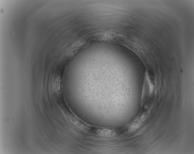 X0000064750230200602131234