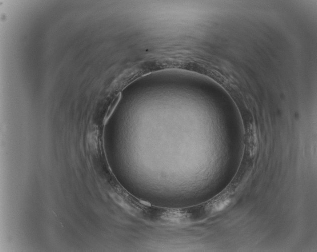 X0000064750231200602131234