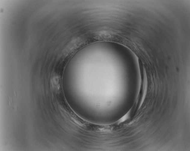 X0000064750232200602131234