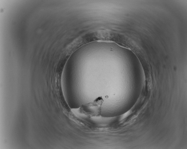 X0000064750233200602131234