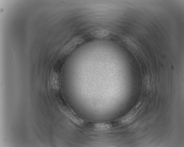 X0000064750234200602131234