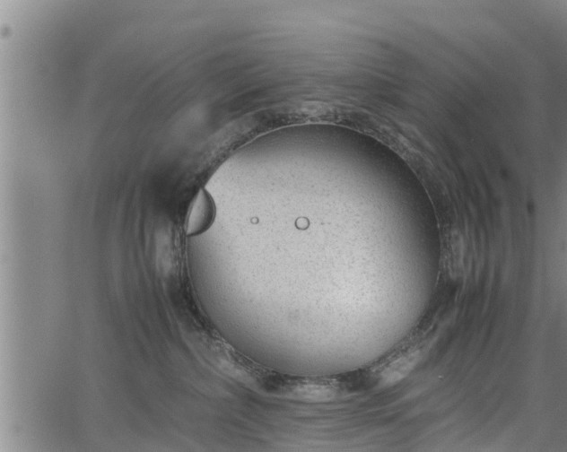 X0000064750236200602131234