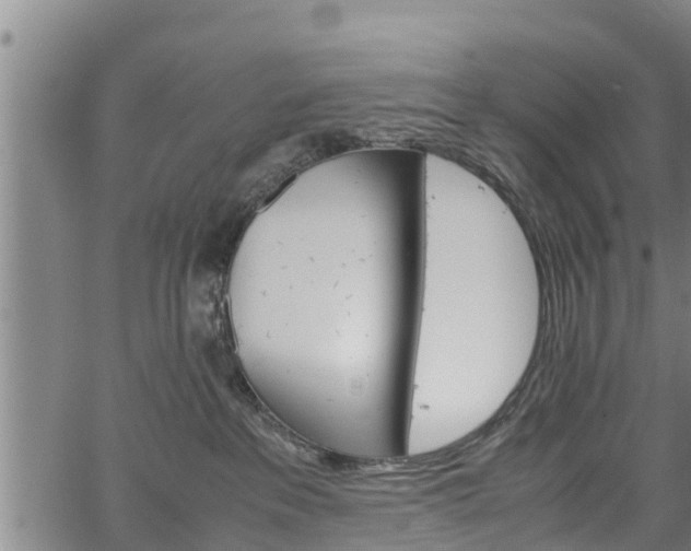 X0000064750237200602131234