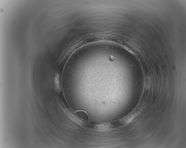 X0000064750238200602131234