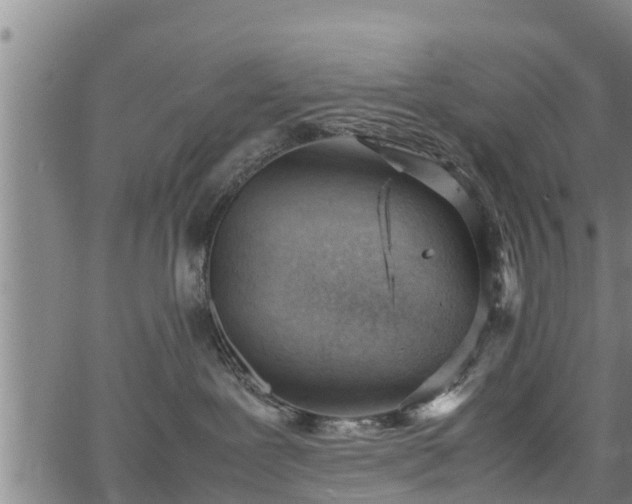 X0000064750239200602131234