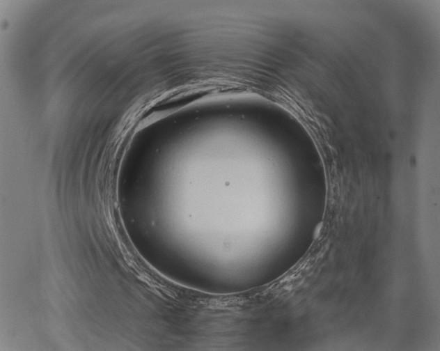 X0000064750241200602131233