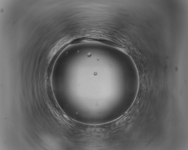 X0000064750242200602131233