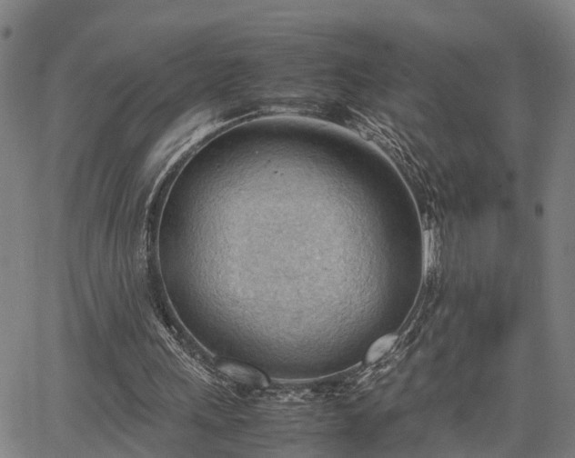 X0000064750243200602131233