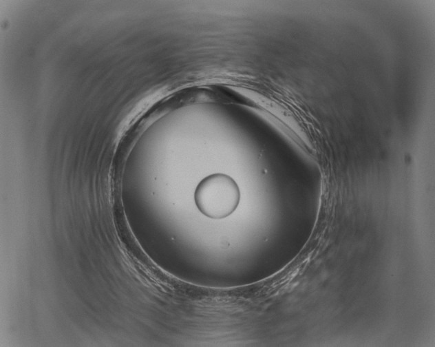 X0000064750244200602131233