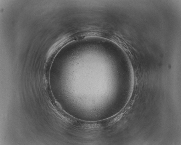 X0000064750245200602131233