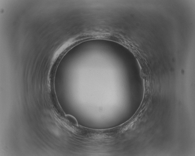 X0000064750246200602131233