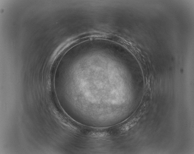 X0000064750247200602131233