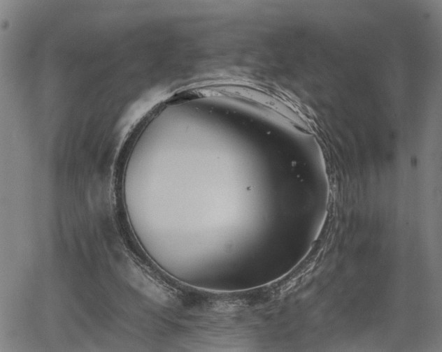 X0000064750248200602131233