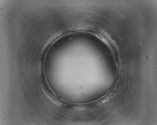 X0000064750250200602131233