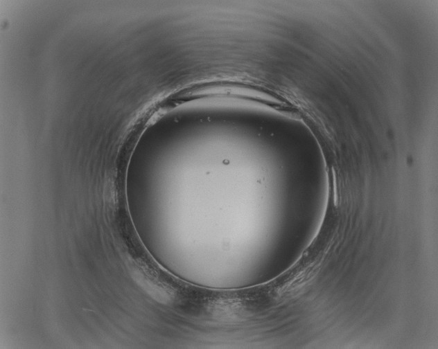 X0000064750252200602131234