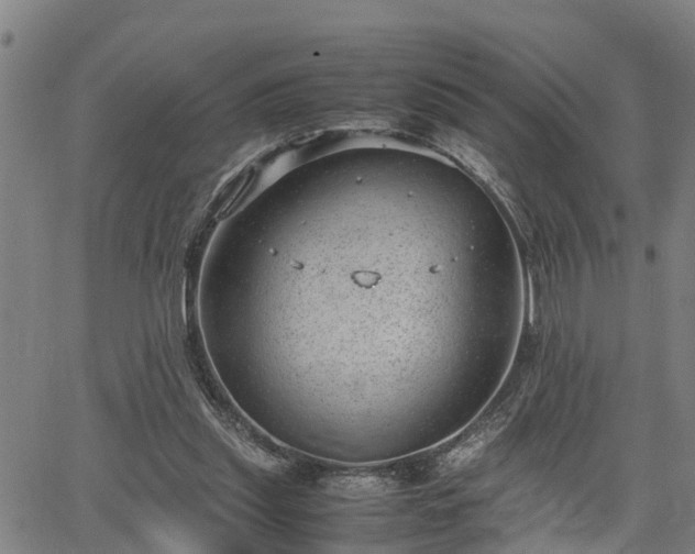 X0000064750253200602131234