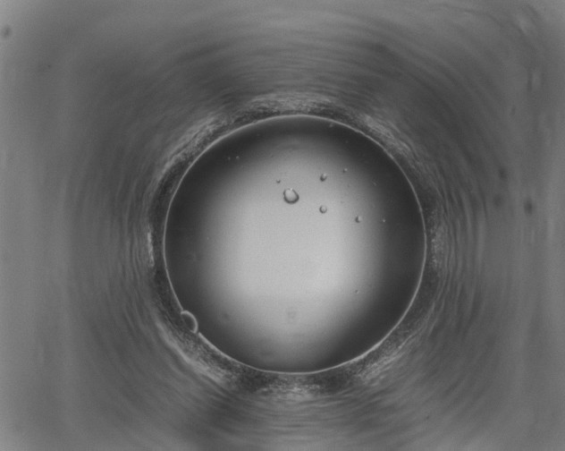 X0000064750254200602131234