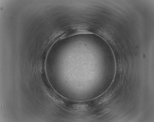 X0000064750255200602131234