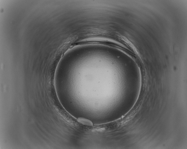 X0000064750257200602131234