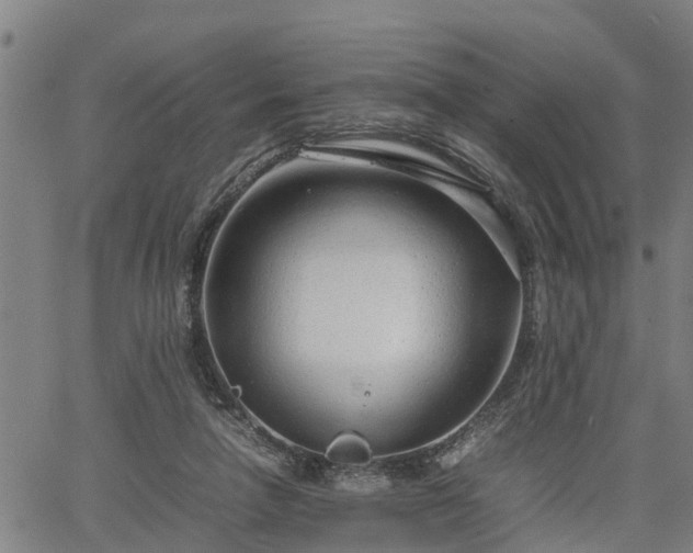 X0000064750258200602131234