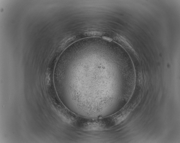 X0000064750259200602131234