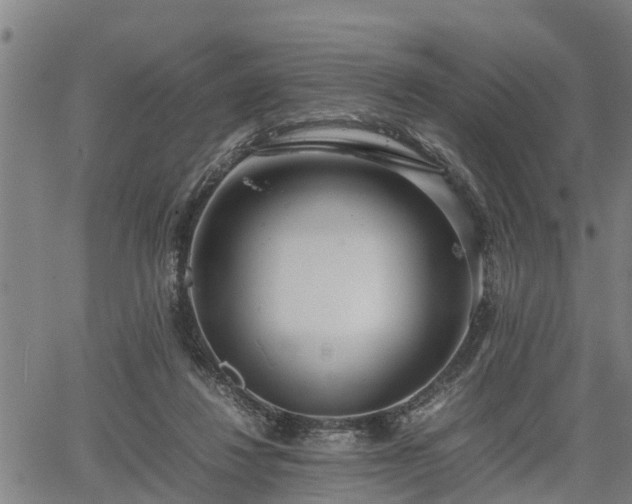 X0000064750260200602131234