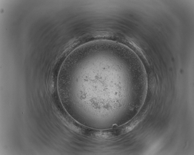 X0000064750261200602131234