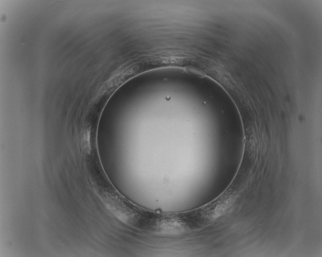 X0000064750262200602131234