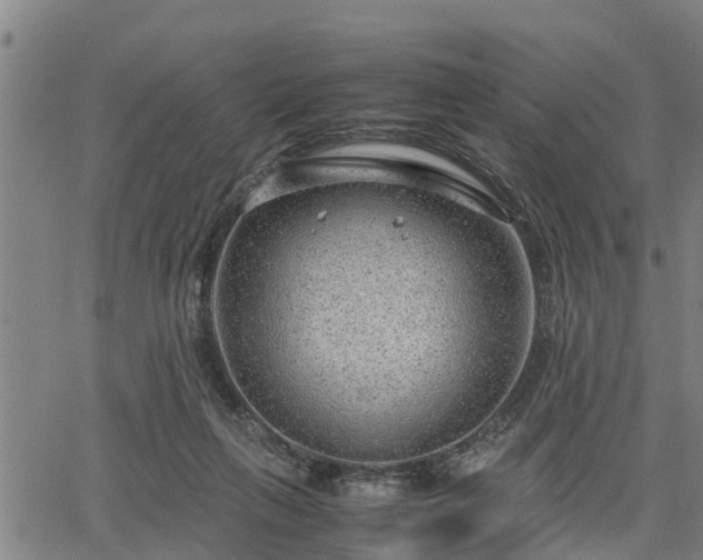 X0000064750263200602131234