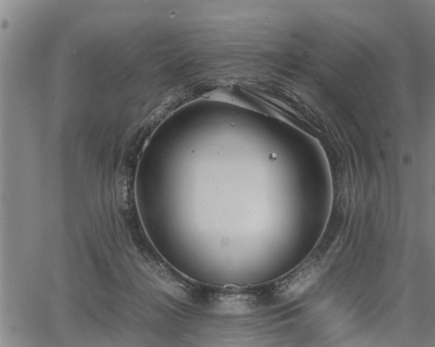 X0000064750268200602131234