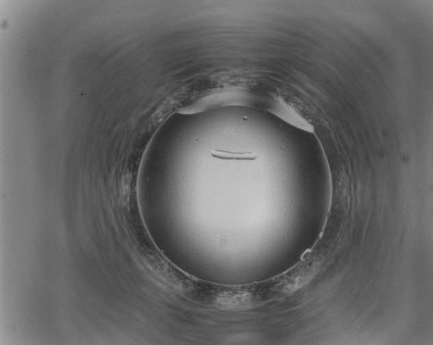 X0000064750271200602131234