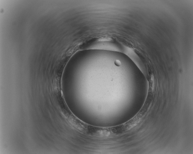 X0000064750272200602131234