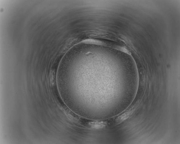 X0000064750273200602131234