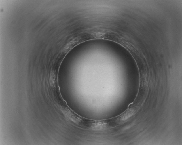 X0000064750274200602131234